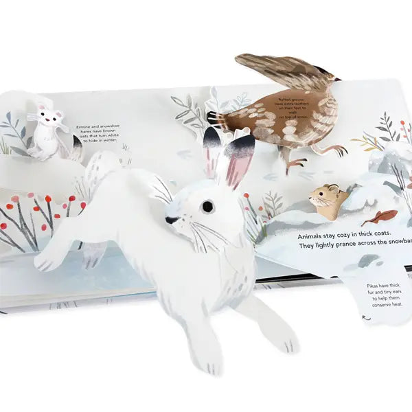 SNOWSCAPE: A WINTER POP-UP BOOK