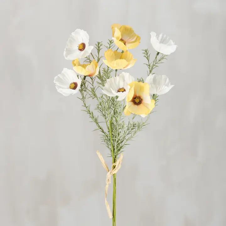 SUNSHINE COSMOS BOUQUET
