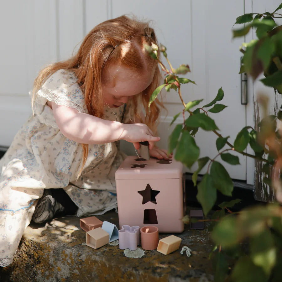 Shape Sorting Box