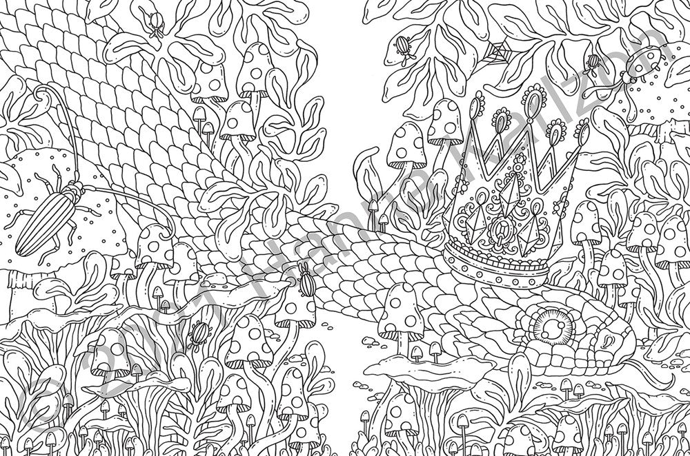 TALES FROM THE FOREST KINGDOM COLORING BOOK