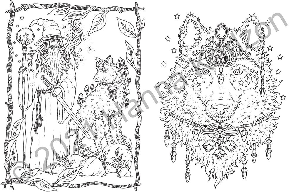 TALES FROM THE FOREST KINGDOM COLORING BOOK