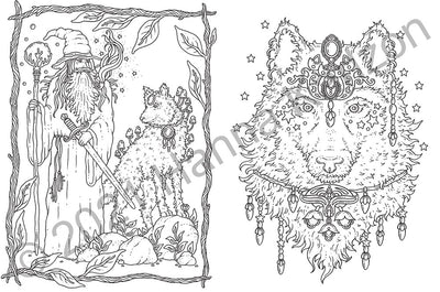 TALES FROM THE FOREST KINGDOM COLORING BOOK