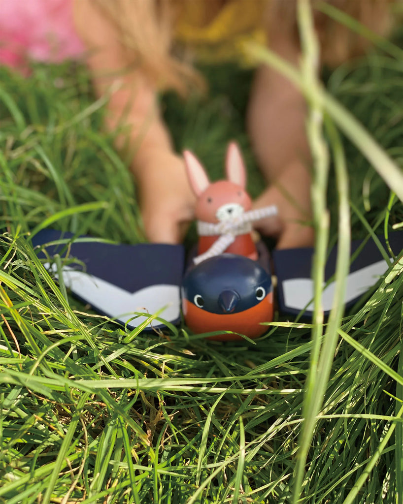 SWIFTY BIRD