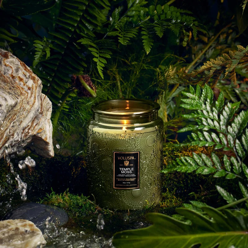 Voluspa Temple Moss, Candle