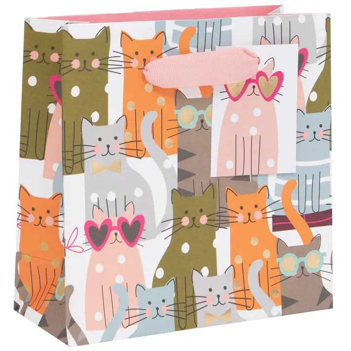 SMALL TOM CATS BAG