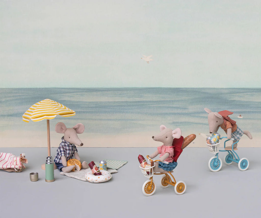 Abri à Tricycle Basket, Mouse