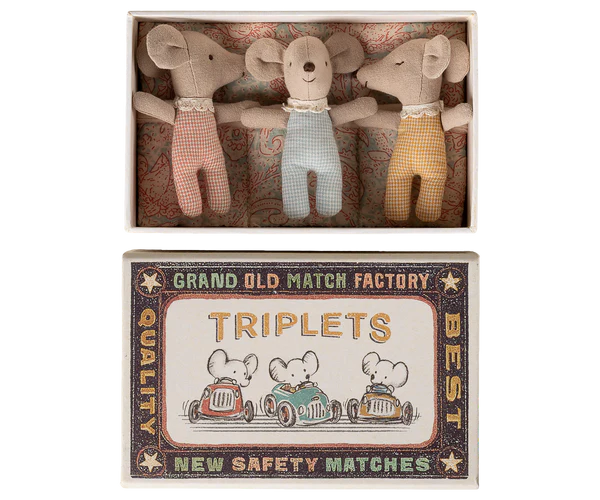 Triplets, Baby Mice In Matchbox - 2026