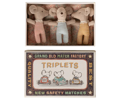 Triplets, Baby Mice In Matchbox - 2026