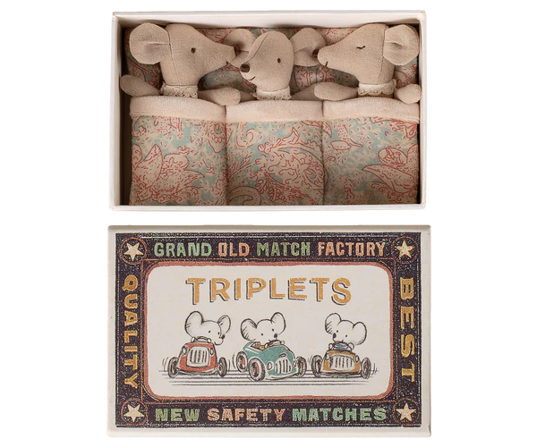 Triplets, Baby Mice In Matchbox - 2026