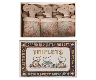 Triplets, Baby Mice In Matchbox - 2026