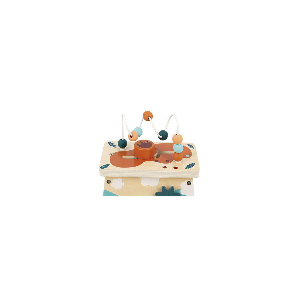 MULTI-ACTIVITY VOLCANO
