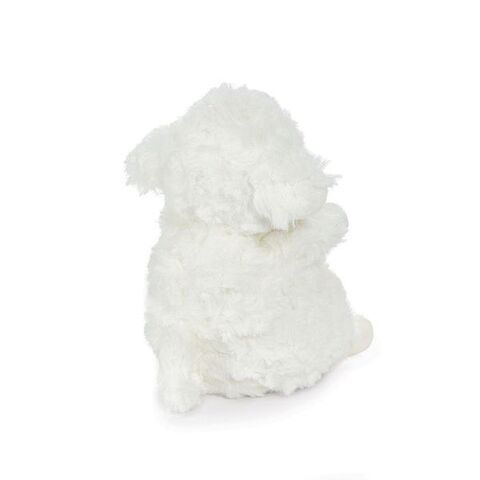 Wee Kiddo the Lamb