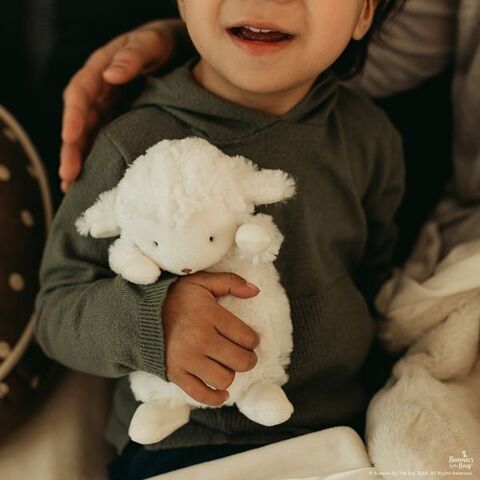 Wee Kiddo the Lamb