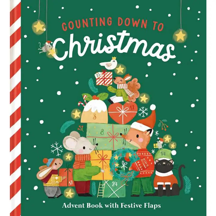 COUNTING DOWN TO CHRITMAS BY LITTLE GENIUS BOOKS