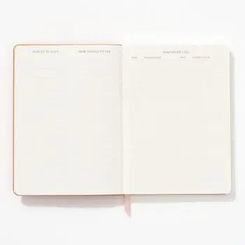 LIGHT PINK SUEDE JOURNAL