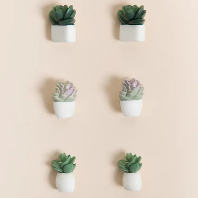 POTTED SUCCULENT PUSH PINS - SET OF 6