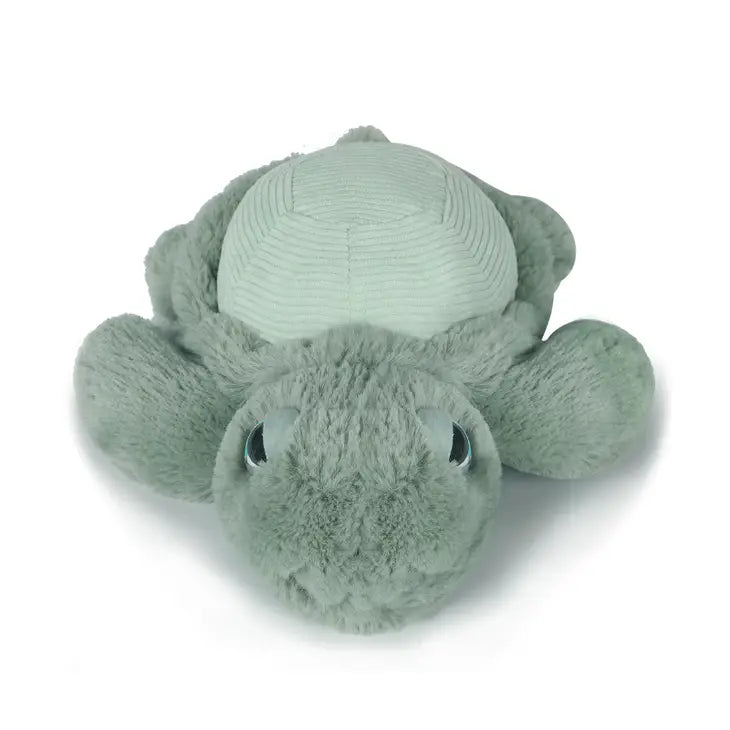 Little Tyler Turtle 7.8" / 20cm