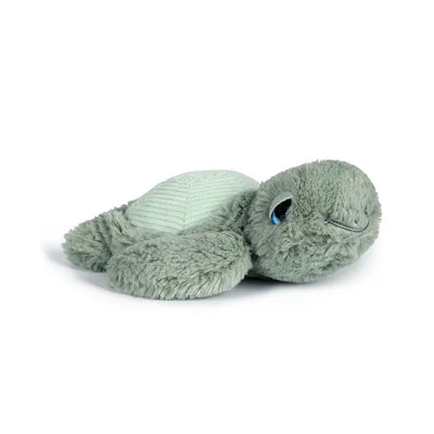 Little Tyler Turtle 7.8