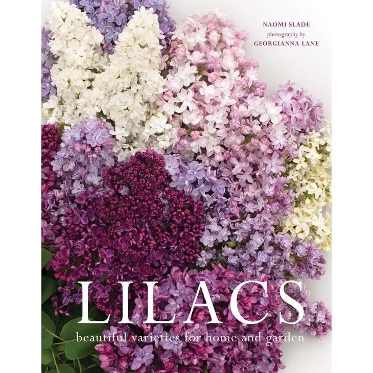 LILACS