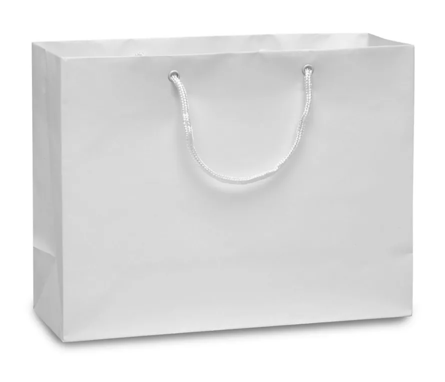 Plain White Boutique Bag with Gold Fleck Tissue