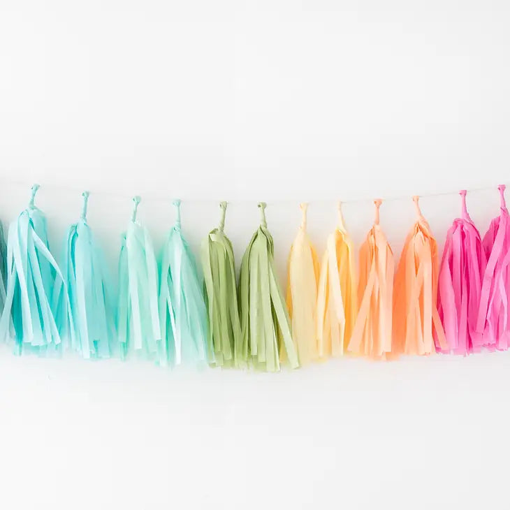 RAINBOW TASSEL GARLAND KIT