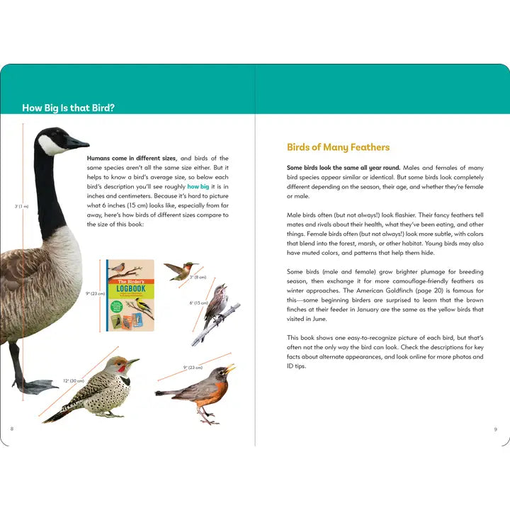 The Birder's Logbook: A Seek-And-Sticker Book For Budding Ornithologists