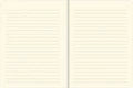 Bird of Paradise Journal