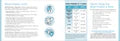 Blood Pressure Logbook