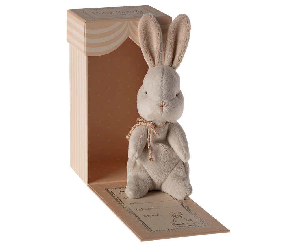 My First Bunny