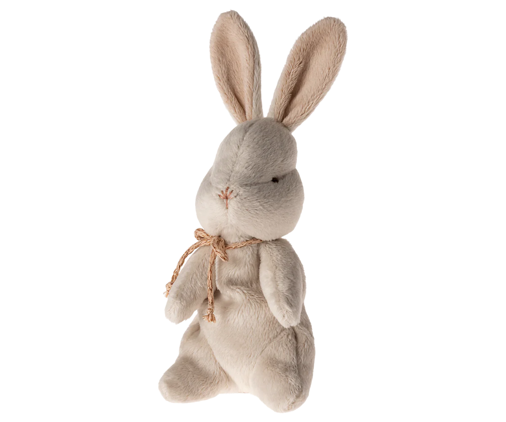 My First Bunny