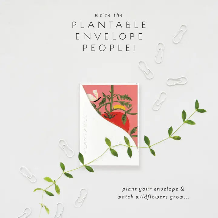 Plantable Card - Heirloom Sprout - Baby Mini Greeting Card 2.5" X 3.5"