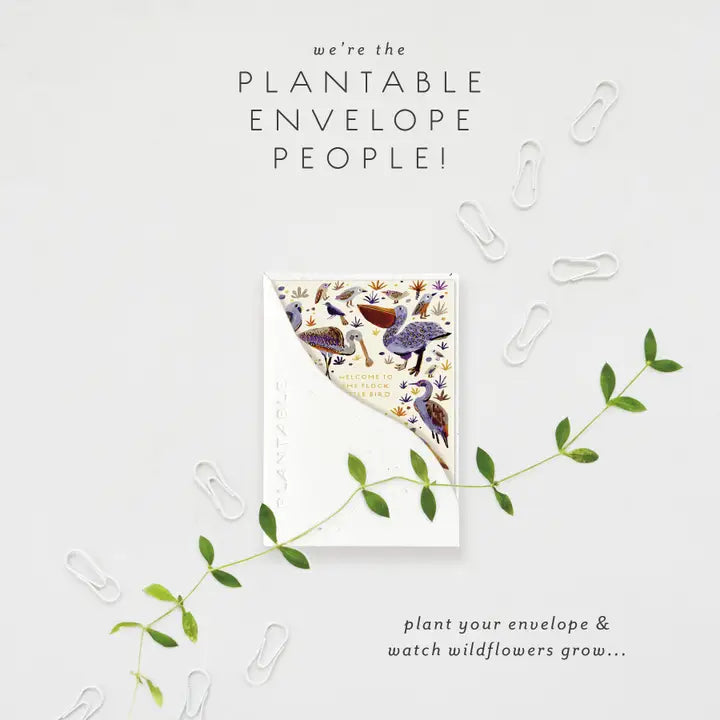 Plantable Card - Little Bird Sprout - Baby Mini Greeting Card (2.5" X 3.5")