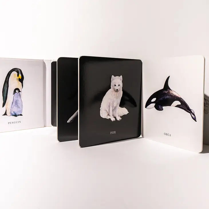 BLACK AND WHITE CONTRAST BOOK FOR BABY