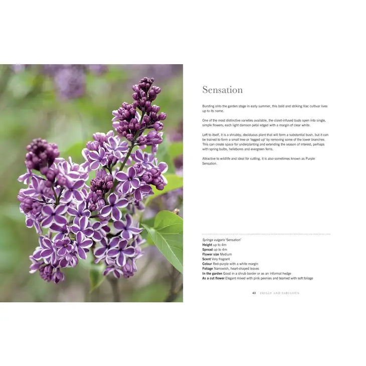 LILACS