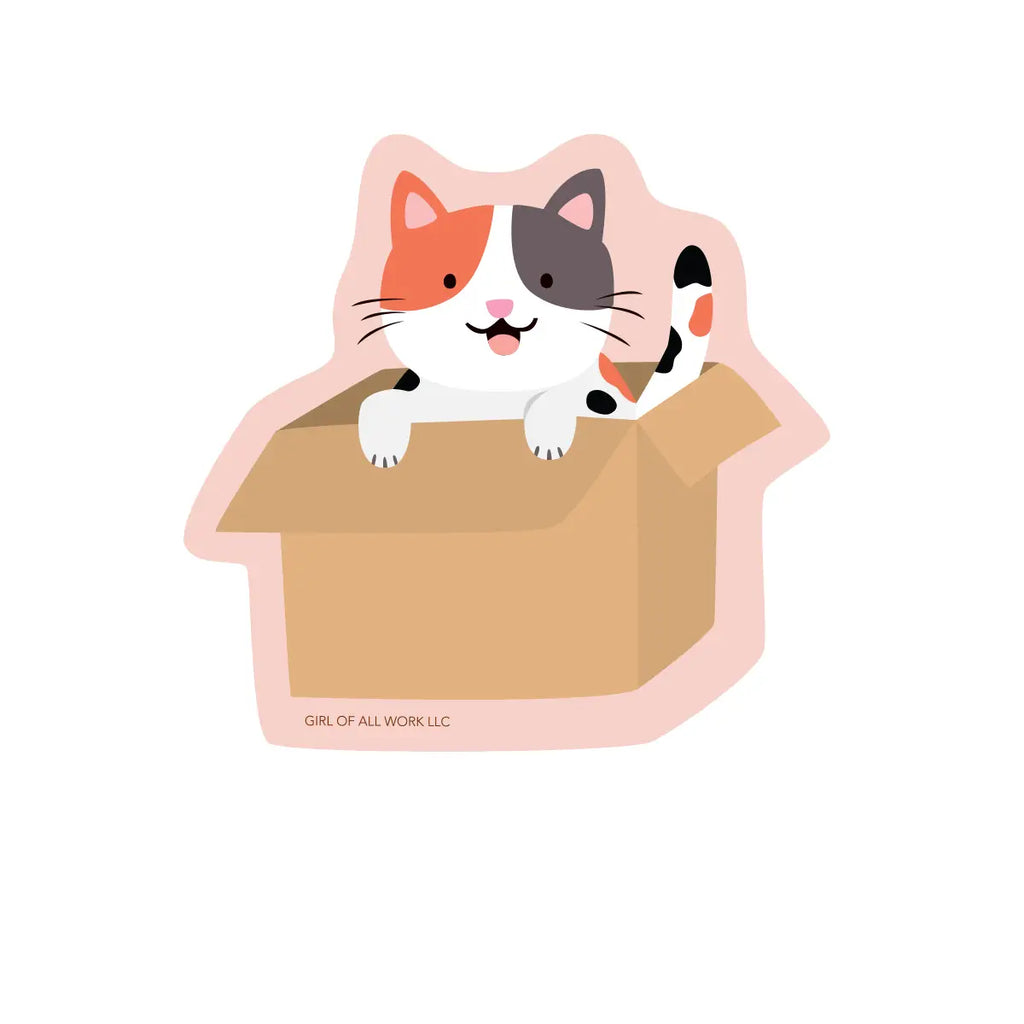 Cat in A Box Vinyl Sticker