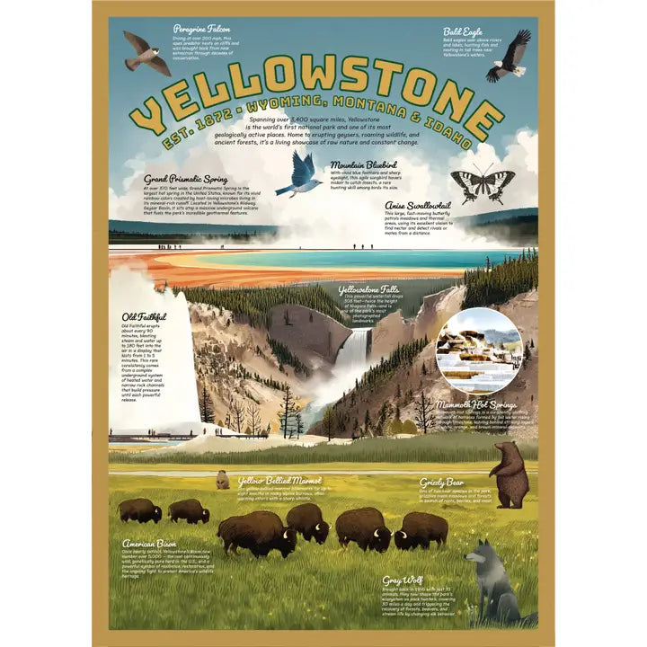 Yellowstone Puzzle – 500 Pc Tube with Vintage Illustrations