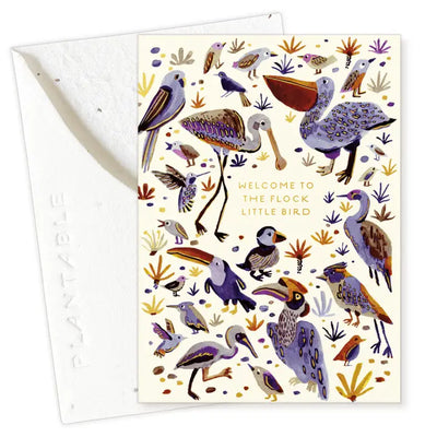Plantable Card - Little Bird Sprout - Baby Mini Greeting Card (2.5