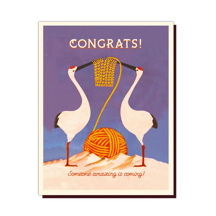 Someone Amazing Coming Baby Card