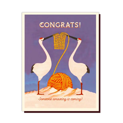 Someone Amazing Coming Baby Card