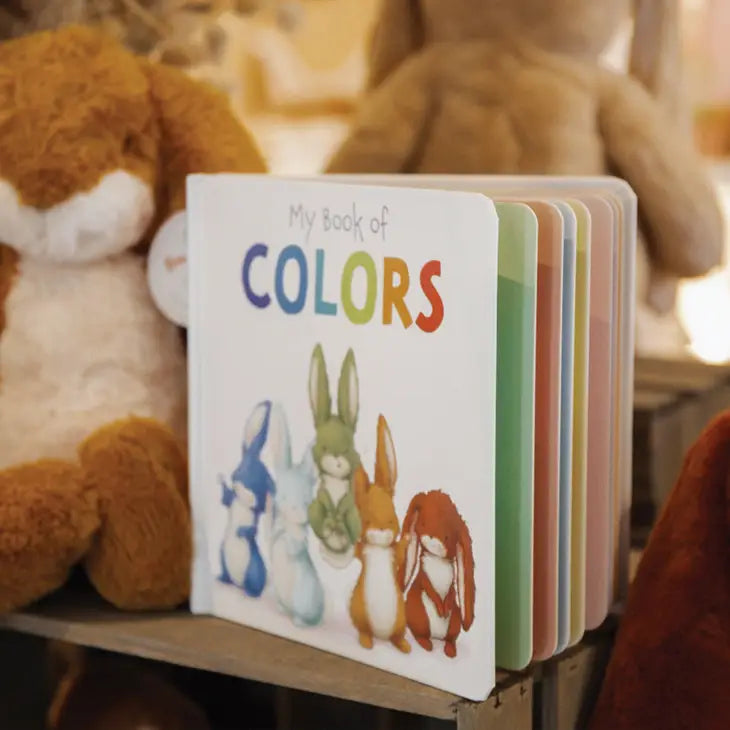MY BOOK OF COLORS - BOARD BOOK