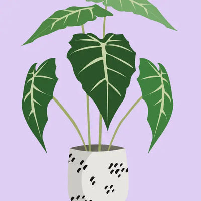 JUST LEAFY