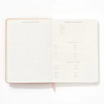 LIGHT PINK SUEDE JOURNAL