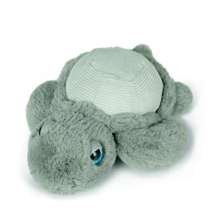 Little Tyler Turtle 7.8" / 20cm