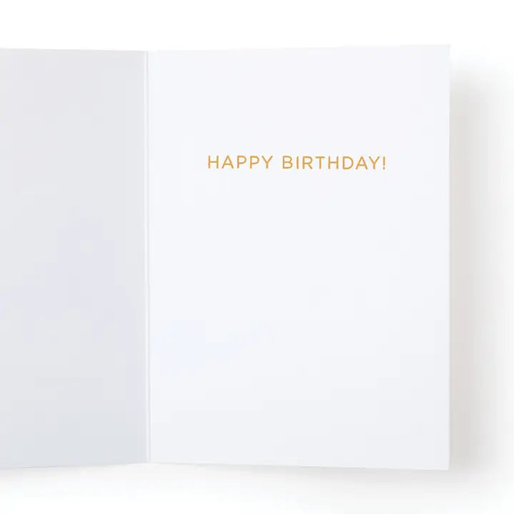 Older Not Wiser Birthday Greeting Card