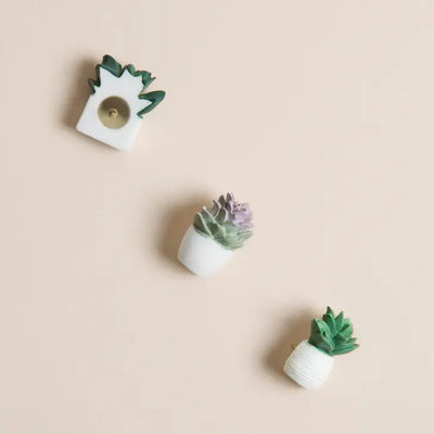 POTTED SUCCULENT PUSH PINS - SET OF 6