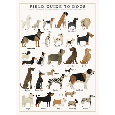 Vintage Posters Wrapping Paper - Dogs