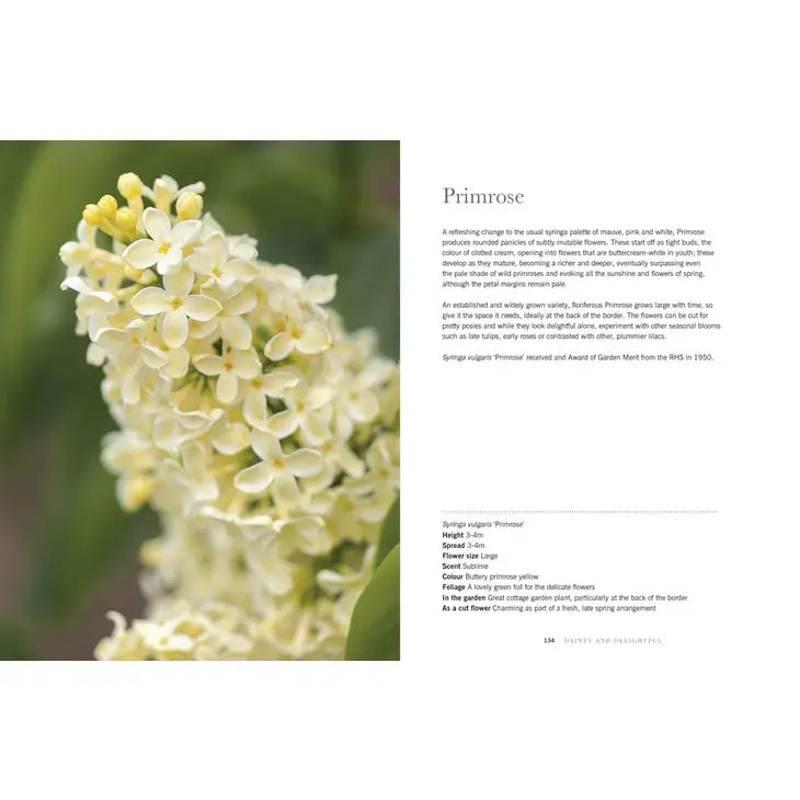 LILACS