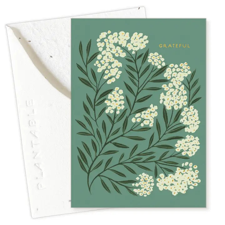 Plantable Card - Grateful Sprout - Thank You Mini Greeting Card 2.5" X 3.5"