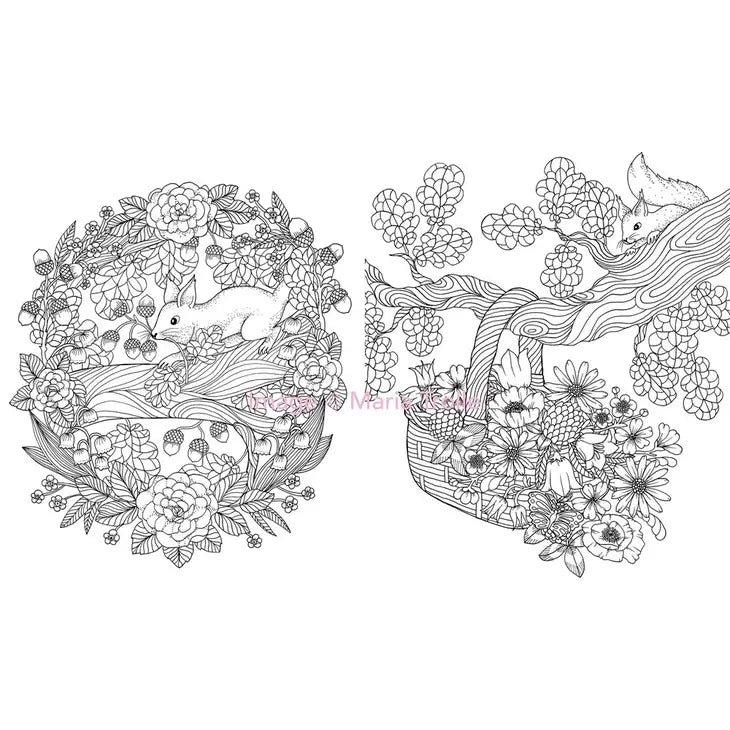TWILIGHT GARDEN COLORING BOOK