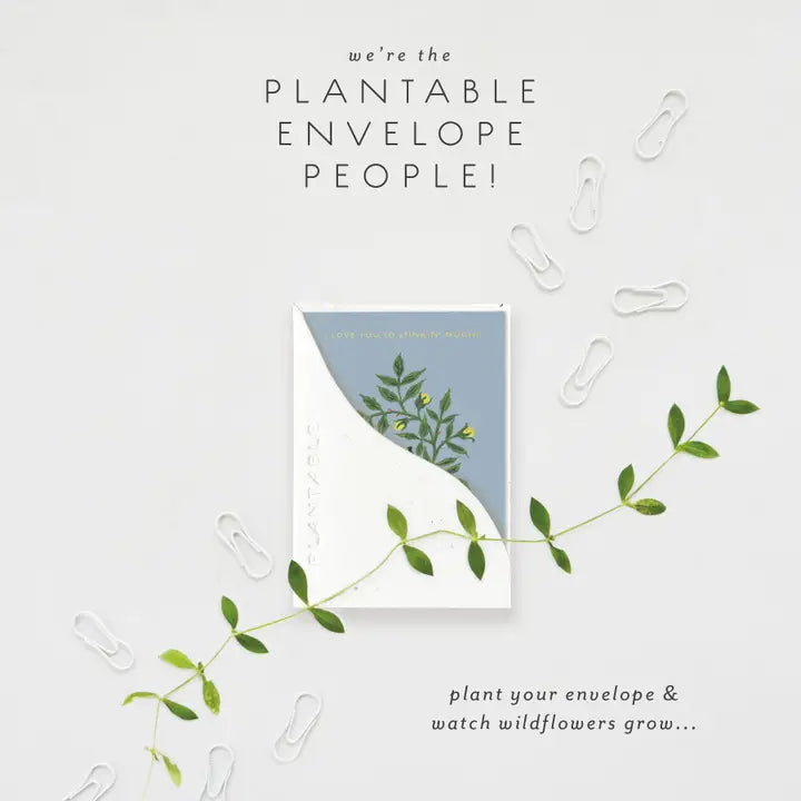 Plantable Card - Stinker Sprout - Birthday Mini Greeting Card 2.5" X 3.5"